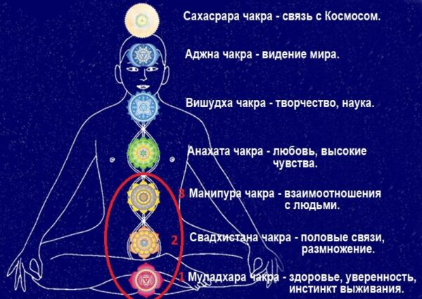 Предназначение и цель жизни. Прогнозыс пояснениями