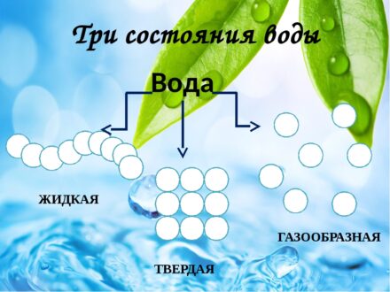 Три состояния врды